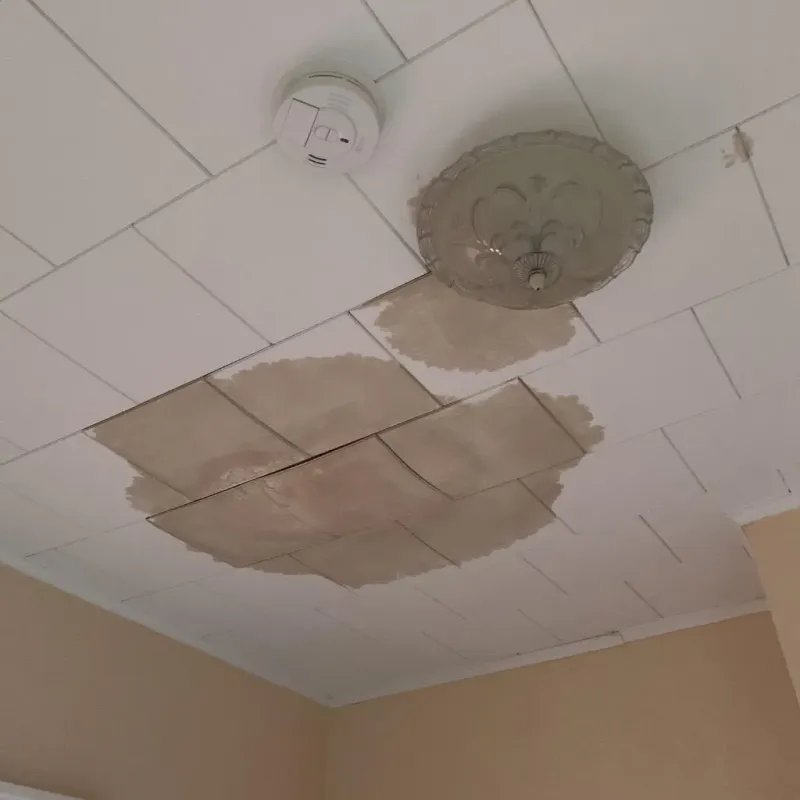 Ceiling Water Damage Repair in Callender, CA