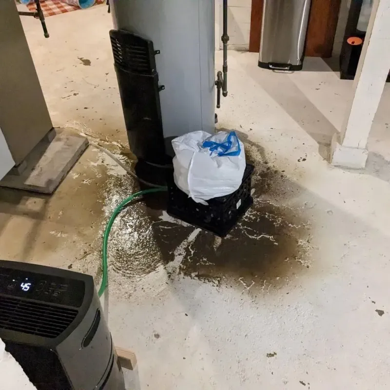 Sewage Backup Cleanup Service in Callender, CA